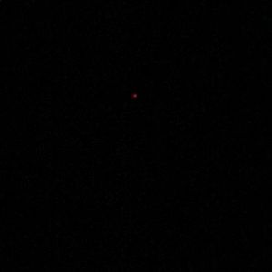 Meet your Posher, Aiden